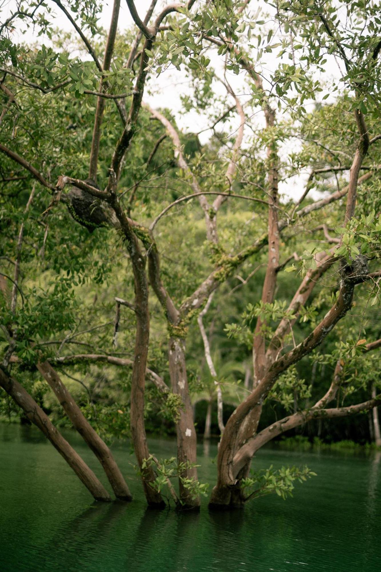 Saladero Ecolodge Esquinas Esterno foto